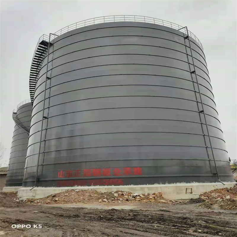 南圣镇3万吨大型钢板库